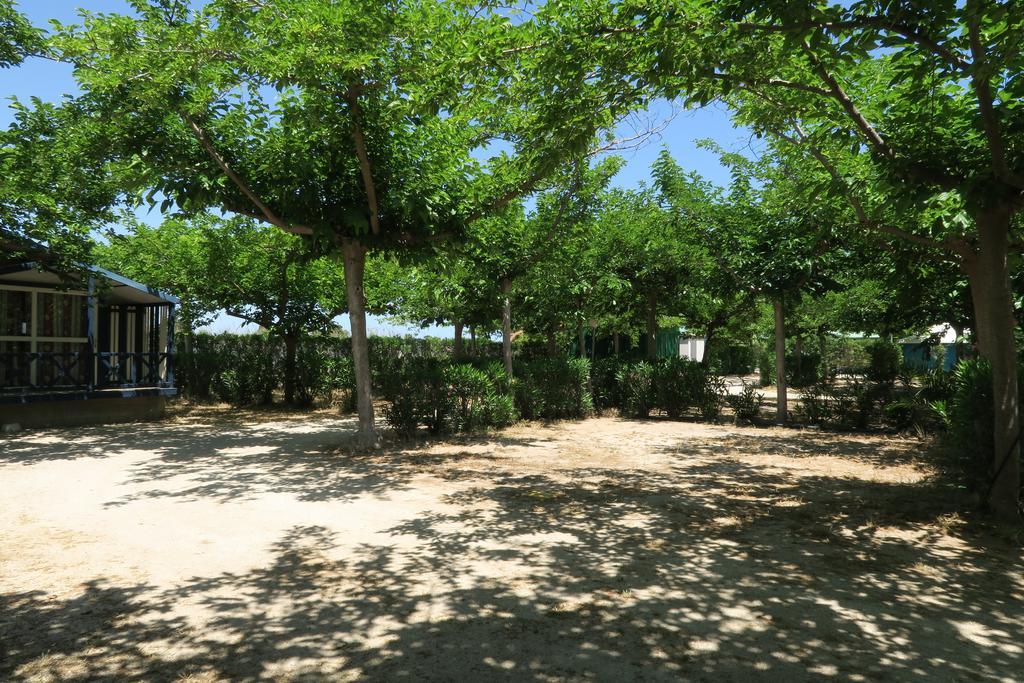 אוליבה Camping Azul מראה חיצוני תמונה