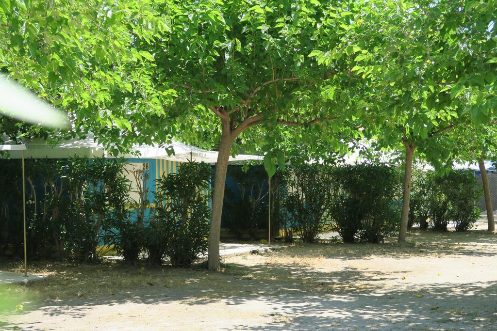 אוליבה Camping Azul מראה חיצוני תמונה